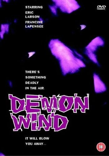 Ветер демонов 1990